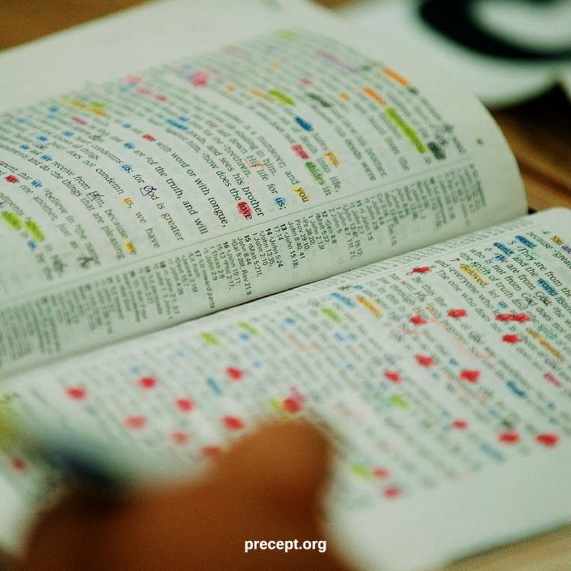主張讀經時要用彩色筆標記重點。（圖／翻攝自precept.org）
